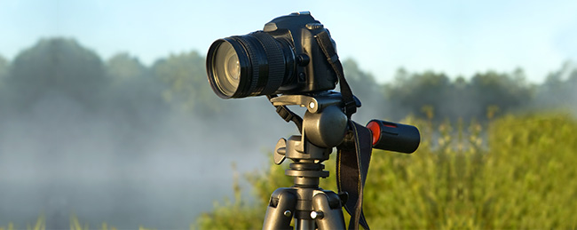 Use a tripod to get sharp photos in natural light