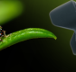 5-simple-macro-photography-tips-and-ideas