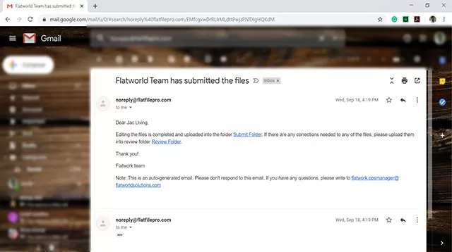FlatfilePro Review Feedback Mail